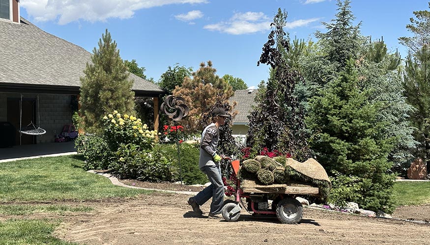 Moving sod for install