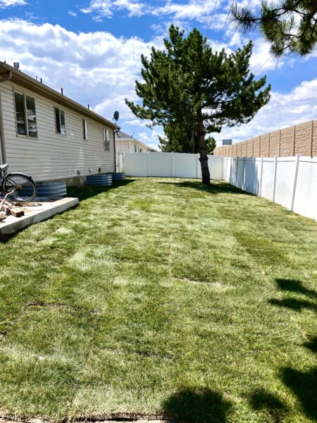 Payson sod