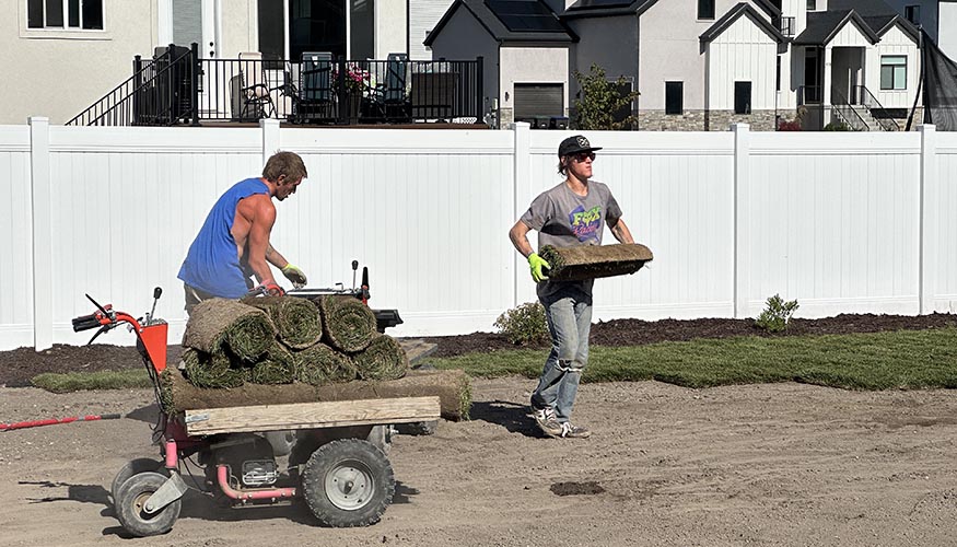sod installing